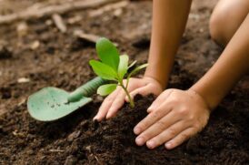 O Instituto Adesaf contrata 10 microempreendedoras individuais (MEIs) para prestação de serviço em projeto social vinculado à jardinagem e a produtos naturais