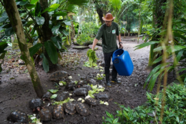 Alimento também é destinado para reforço na alimentação dos animais no Orquidário.