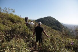 Area com 193 mil m² no Morro da Nova Cintra tem cinco trilhas de fácil e média dificuldades para serem exploradas