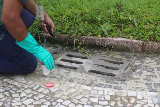Focos de mosquito da dengue são eliminados