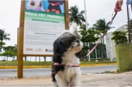 Em formato digital, o guia será atualizado constantemente pelos próprios empreendimentos