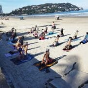 As atividades acontecerão às 8h30, no Canto do Tortuga, na Enseada
