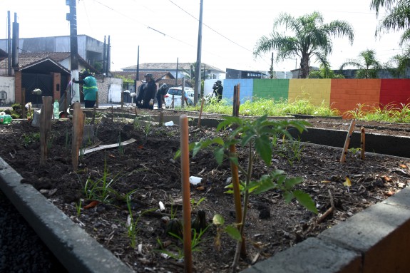 Horta comunitária em Praia Grande
