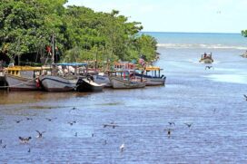 O Portinho de Pesca é um dos pontos turísticos mais visitados e de onde saem os barcos de pesca, no rio Preto, que desagua no mar
