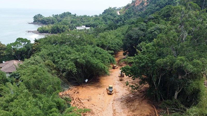 A iniciativa pioneira usa drones elétricos, inteligência artificial e cápsulas biodegradáveis para reflorestar áreas de difícil acesso e alta declividade na costa sul de São Sebastião, onde estão Baleia, Barra do Sahy, Boiçucanga, Juquehy, entre outras.