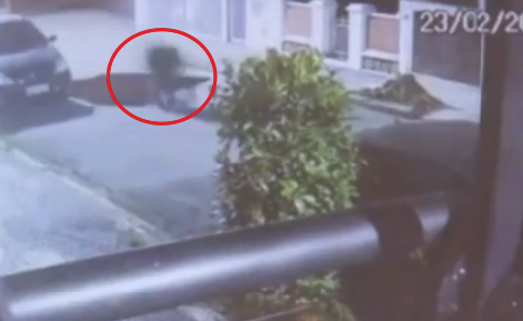 Vídeo foi captado por câmera de segurança