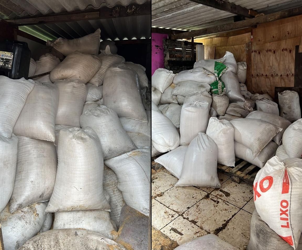 No total, foram apreendidos 7000kg (7 toneladas) de açúcar e 9000kg (9 toneladas) entre cereais e grãos