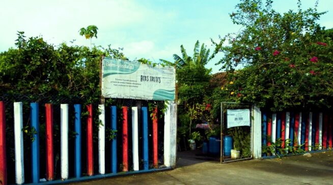 Lançamento do 'Banco de Alimentos e Agricultura Urbana' (BA-AU) será neste sábado em Santos