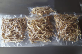 Criado à base de farinha de grão-de-bico, o macarrão instantâneo criado pelas alunas é uma alternativa nutritiva para os celíacos