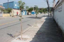 Bairro recebe mudas de araçá-amarelo, aroeira, capororoca e ipê