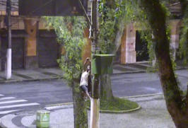 Câmeras flagraram homem no poste e sistema acionou a Guarda Municipal para a captura