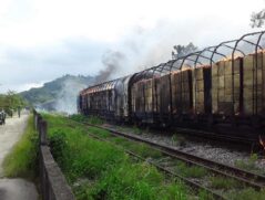 Ainda não é possível afirmar o que causou o incêndio