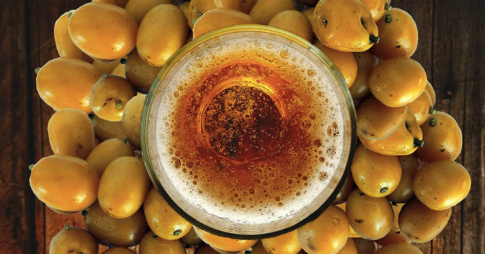 A cerveja pode contribuir para o melhor funcionamento do intestino