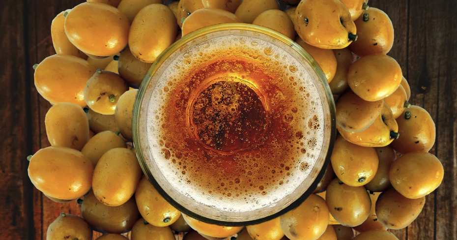 A cerveja pode contribuir para o melhor funcionamento do intestino