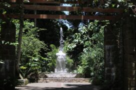 Série será exibida no Orquidário às terças-feiras de abril