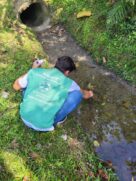 Foram 234 focos com larvas de mosquito eliminados em 451 imóveis trabalhados