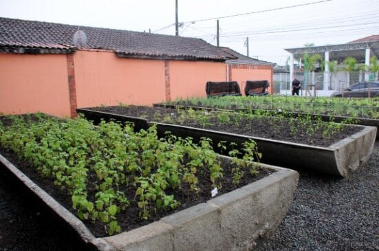 O projeto Horta Comunitária é desenvolvido pela equipe da Secretaria de Habitação