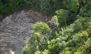 Números revelam um alto índice de ilegalidade no uso da terra