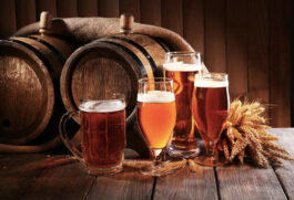 Cidade de Jundiaí é um exemplo de destino para o turismo cervejeiro
