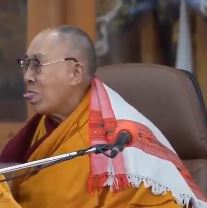 Dalai pede desculpas à criança e família.