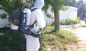 Combate a Dengue