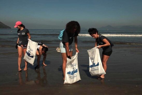 Cerca de 80 kg de detritos foram removidos das areias da orla da Ponta da Praia