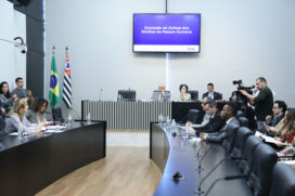 A pauta da reunião da CDD desta quarta-feira contava, ao todo, com 201 projetos