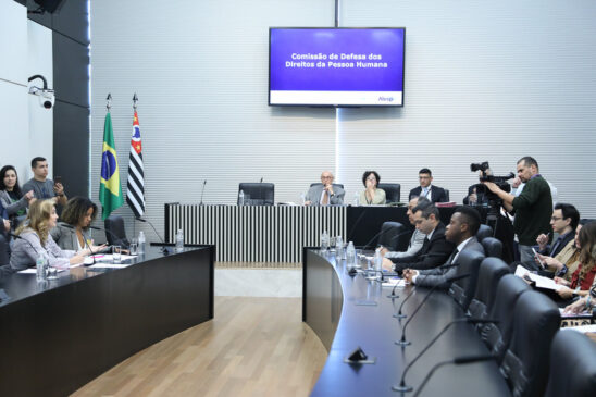 A pauta da reunião da CDD desta quarta-feira contava, ao todo, com 201 projetos