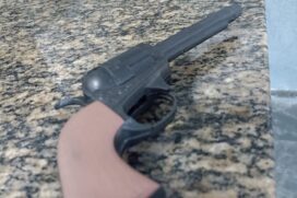 Infrator foi encaminhado ao 1&ordm; Distrito Policial