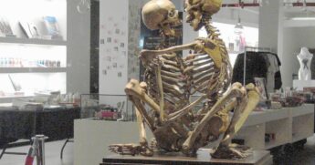 Museu do Sexo fica em Nova Iorque