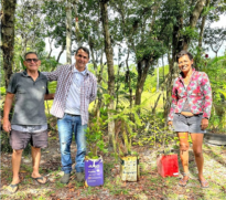 Projeto abrange três pilares: arte, preservação e sustentabilidade