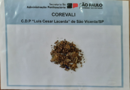 Droga apreendida no CDP de SV