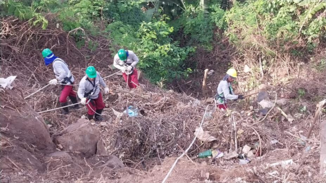 Limpeza de encosta e remoção de vegetação precedem trabalhos de contenção e drenagem