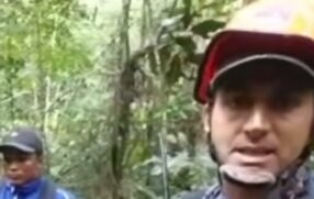 Em um vídeo divulgado no perfil oficial da corporação, o Sexto Grupamento de Bombeiros conta que duas equipes procuraram por um indivíduo dentro da mata.
