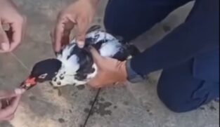 O resgate aconteceu no Morro da Nova Cintra
