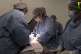 A doação foi autorizada pela família de um homem de 46 anos que teve um acidente vascular cerebral hemorrágico e morte encefálica