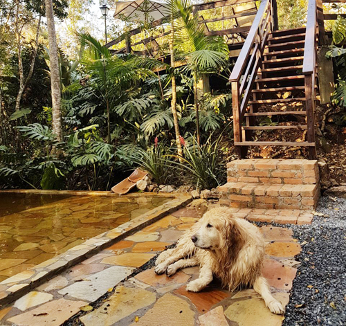 Hotel Ronco do Bugio - Foto: Divulgação