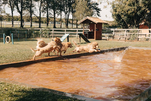 Localizado na cidade de Brotas, o Hotel Fazenda Recanto Shangri-lá é opção de hospedagem na região para quem viaja com pets
