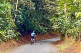 Parque conta com cerca de 10km de trajeto para ciclistas