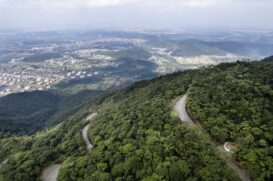 As chuvas que em fevereiro provocaram 65 mortes no litoral norte de São Paulo e deslizamentos abriram 693 cicatrizes na Serra do Mar