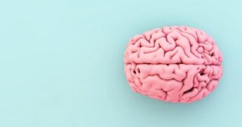 Gene da inteligência: Como a sua genética influencia no seu QI