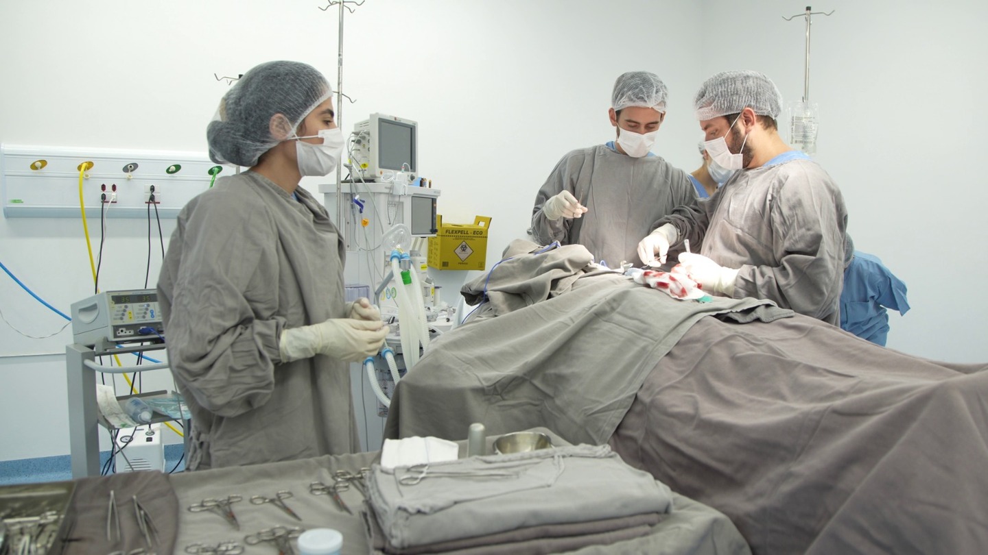 A equipe de profissionais que está atuando no mutirão é composta por seis cirurgiões, cinco anestesistas e enfermeiros