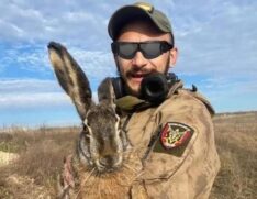 A história do soldado que estava no campo desminando e encontrou uma lebre está viralizando nas redes sociais.