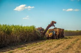 A balança comercial do agronegócio no Estado de São Paulo de janeiro a maio deste ano apresentou saldo positivo, com superávit de US$ 7,97 bilhões.
