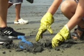 No Dia do Meio Ambiente, alunos coletam resíduos do estuário vicentino