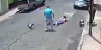 Nas imagens, é possível ver a mulher caminhando com o cachorro na coleira. Em questão de segundos, os três animais sem coleira se aproximam do cão, em atitude violenta e a responsável tenta separá-los, colocando-se entre eles.