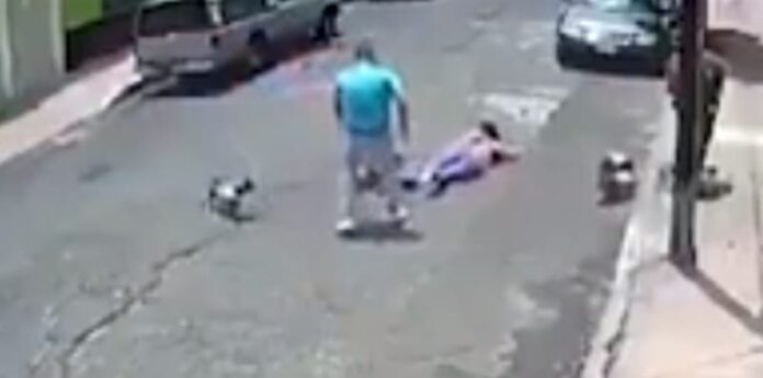 Nas imagens, é possível ver a mulher caminhando com o cachorro na coleira. Em questão de segundos, os três animais sem coleira se aproximam do cão, em atitude violenta e a responsável tenta separá-los, colocando-se entre eles.