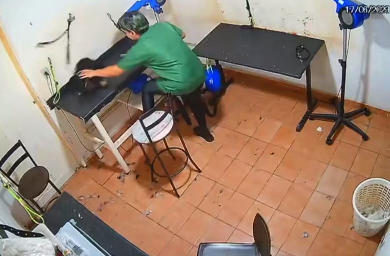 Polícia aguarda resultado da necrópsia do animal para confirmar a causa da morte