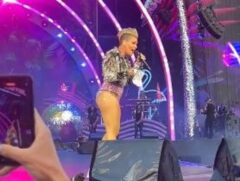 Pink é surpreendida com cinzas de mãe de fã.