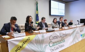 O Guia mostra que o Brasil é capaz de "aprender com as experiências e práticas já implementadas"